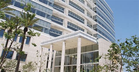 Culver City restauranteur pleads guilty to fraudulently obtaining .